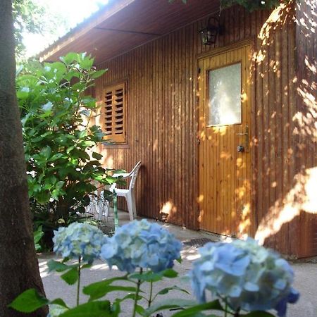 Fiori D'Arancio Ξενοδοχείο Πιάνο ντι Σορέντο Εξωτερικό φωτογραφία